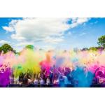29-01-2015 - berlinieros - HOLI GAUDY.jpg